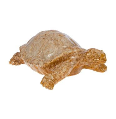 Tortue émail Beige 30 cm